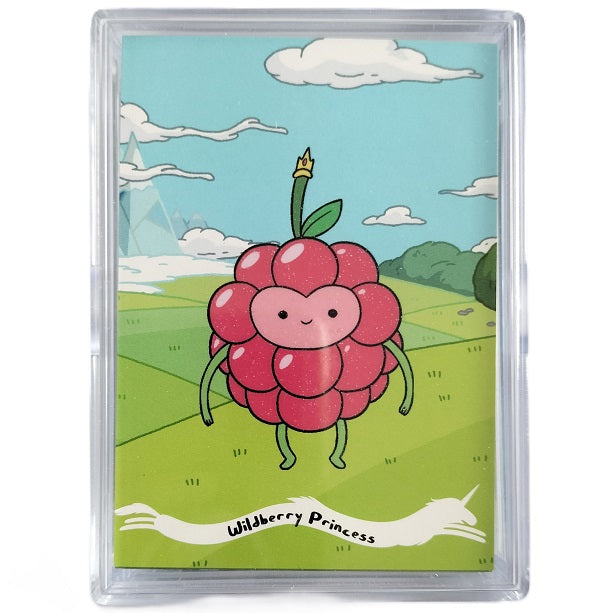 Adventure Time base 1-18 & Princess 1-9