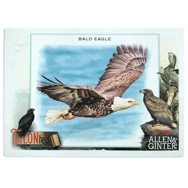 Bald Eagle Talonted TT-5