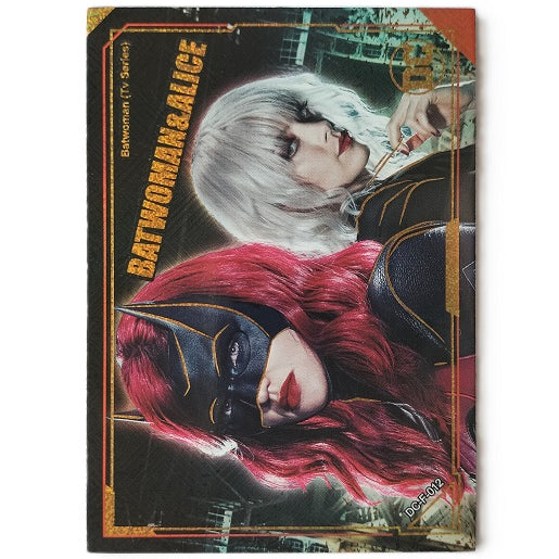 BATWOMAN & ALICE DC-F-012
